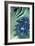 Water Lily-Fractalicious-Framed Giclee Print