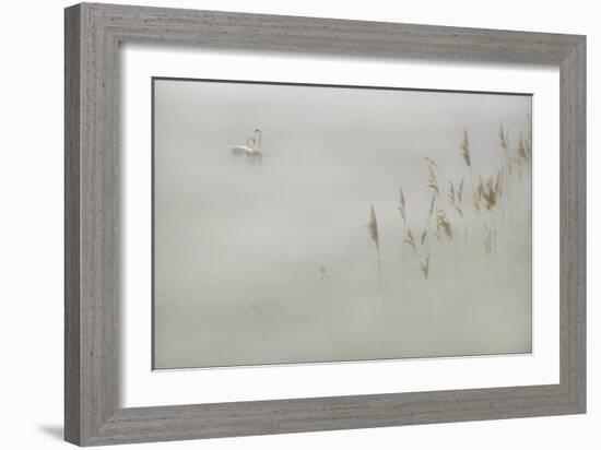 Water Margins-Adrian Campfield-Framed Giclee Print