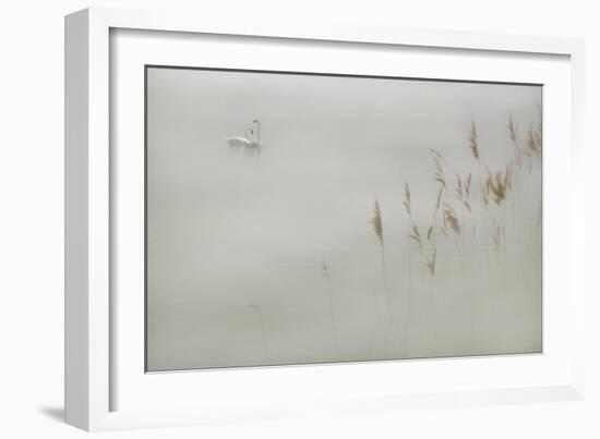 Water Margins-Adrian Campfield-Framed Giclee Print