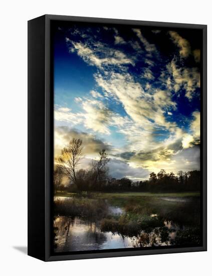 Water Meadow-Tim Kahane-Framed Premier Image Canvas