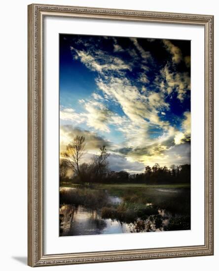 Water Meadow-Tim Kahane-Framed Photographic Print