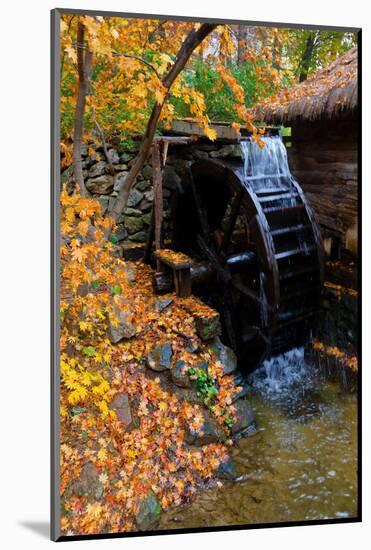 Water mill and Autumn color at Namsangol traditional folk village, Seoul, South Korea-null-Mounted Photographic Print
