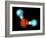 Water, Molecular Model-Laguna Design-Framed Photographic Print