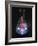 Water Molecule In a Flask, Artwork-Laguna Design-Framed Photographic Print