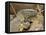 Water Monitor, Kruger National Park, South Africa, Africa-James Hager-Framed Premier Image Canvas