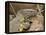 Water Monitor, Kruger National Park, South Africa, Africa-James Hager-Framed Premier Image Canvas