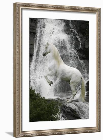 Water Nymph-Bob Langrish-Framed Photographic Print