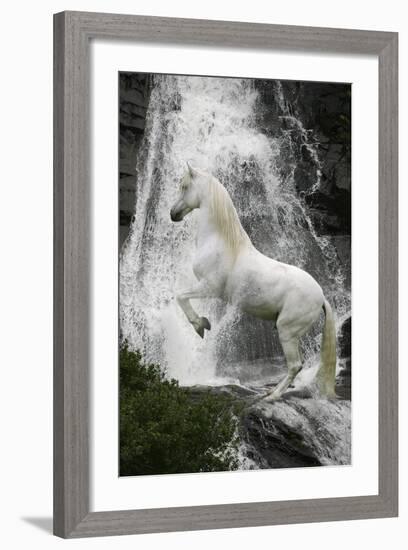 Water Nymph-Bob Langrish-Framed Photographic Print