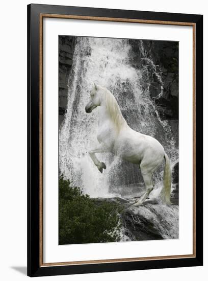 Water Nymph-Bob Langrish-Framed Photographic Print