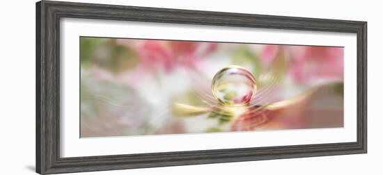 Water pearl-Heidi Westum-Framed Photographic Print