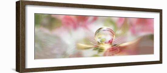 Water pearl-Heidi Westum-Framed Photographic Print