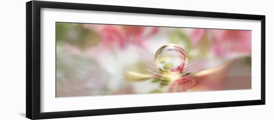 Water pearl-Heidi Westum-Framed Photographic Print