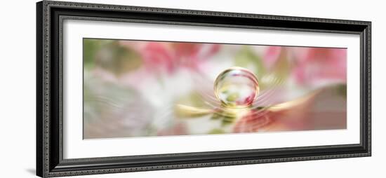 Water pearl-Heidi Westum-Framed Photographic Print