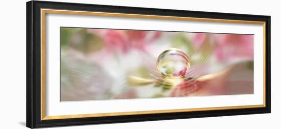 Water pearl-Heidi Westum-Framed Photographic Print