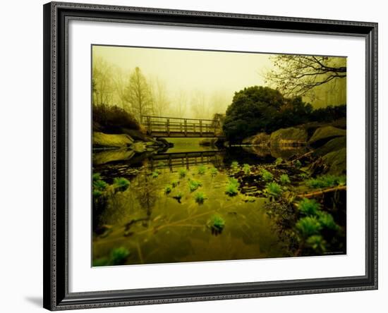 Water Plants Growing under Bridge-Jan Lakey-Framed Photographic Print