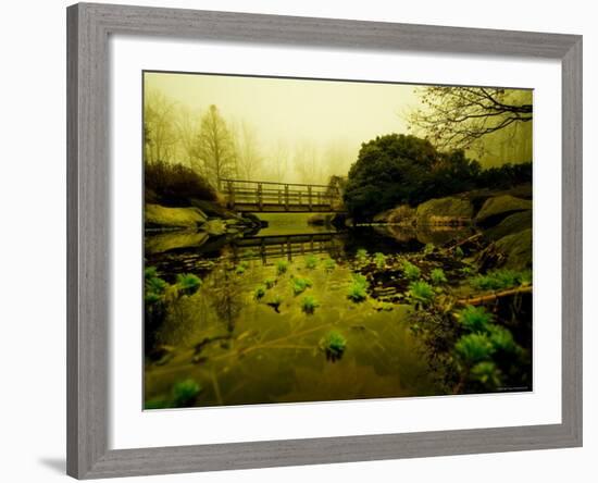 Water Plants Growing under Bridge-Jan Lakey-Framed Photographic Print