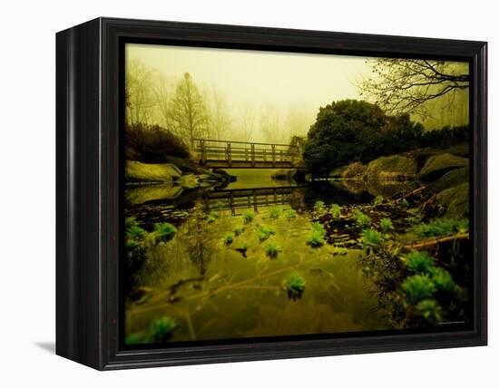 Water Plants Growing under Bridge-Jan Lakey-Framed Premier Image Canvas