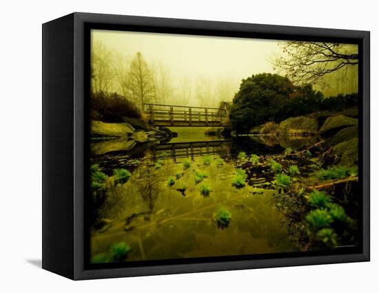 Water Plants Growing under Bridge-Jan Lakey-Framed Premier Image Canvas