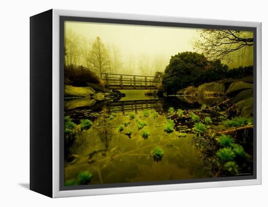 Water Plants Growing under Bridge-Jan Lakey-Framed Premier Image Canvas
