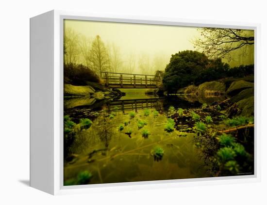 Water Plants Growing under Bridge-Jan Lakey-Framed Premier Image Canvas