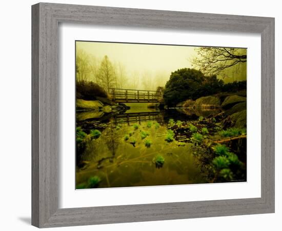 Water Plants Growing under Bridge-Jan Lakey-Framed Photographic Print