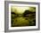 Water Plants Growing under Bridge-Jan Lakey-Framed Photographic Print