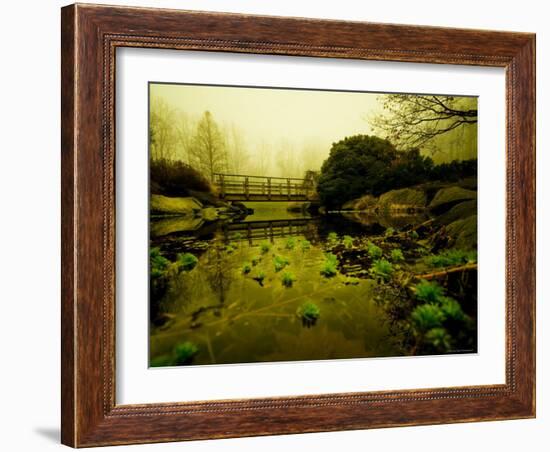 Water Plants Growing under Bridge-Jan Lakey-Framed Photographic Print