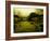 Water Plants Growing under Bridge-Jan Lakey-Framed Photographic Print