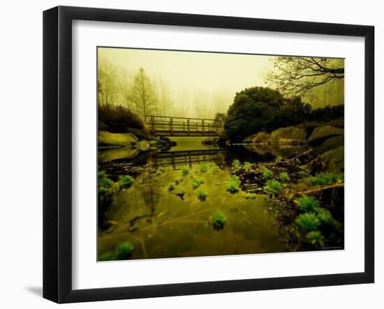 Water Plants Growing under Bridge-Jan Lakey-Framed Photographic Print