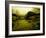 Water Plants Growing under Bridge-Jan Lakey-Framed Photographic Print