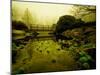 Water Plants Growing under Bridge-Jan Lakey-Mounted Photographic Print