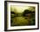 Water Plants Growing under Bridge-Jan Lakey-Framed Photographic Print