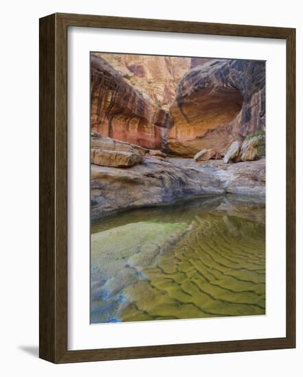 Water Pool-Don Paulson-Framed Giclee Print