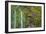 Water Pouring over Moss-Don Paulson-Framed Giclee Print