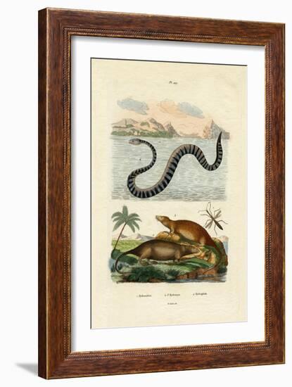 Water Rat, 1833-39-null-Framed Giclee Print