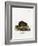 Water Rat-null-Framed Giclee Print