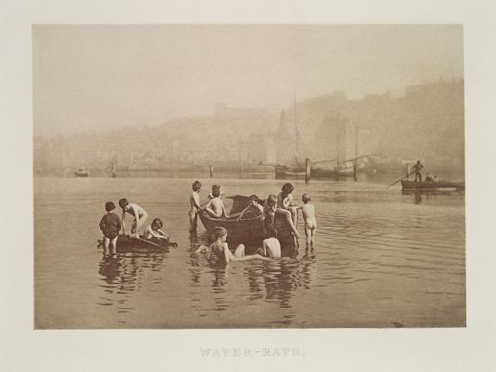 Water Rats C 1889 Photographic Print Frank Meadow Sutcliffe Art Com