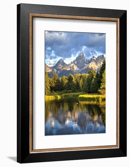 Water Reflection of the Teton Range-Richard Maschmeyer-Framed Photographic Print