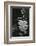 Water, Reflections, 1971-Brett Weston-Framed Photographic Print