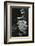 Water, Reflections, 1971-Brett Weston-Framed Photographic Print