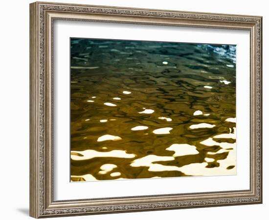 Water Reflections-Savanah Plank-Framed Photo