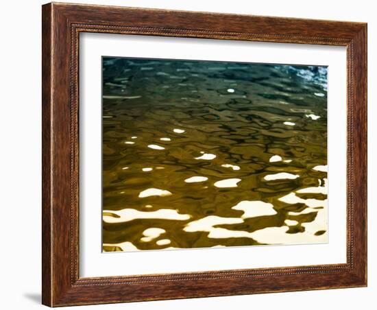 Water Reflections-Savanah Plank-Framed Photo