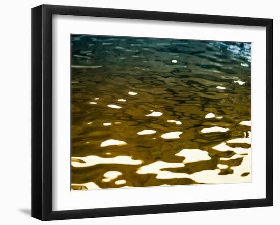 Water Reflections-Savanah Plank-Framed Photo