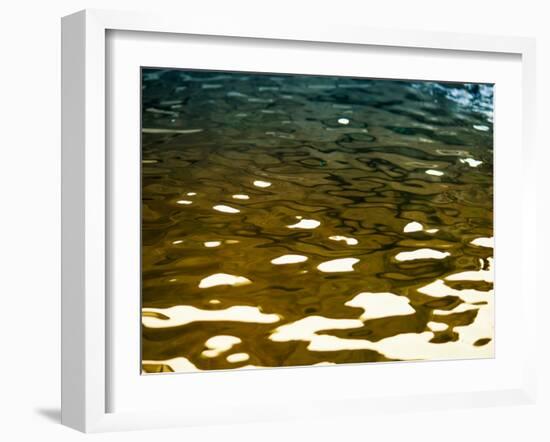 Water Reflections-Savanah Plank-Framed Photo