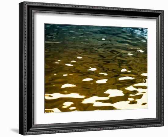 Water Reflections-Savanah Plank-Framed Photo