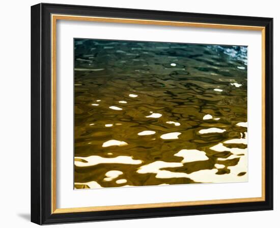 Water Reflections-Savanah Plank-Framed Photo