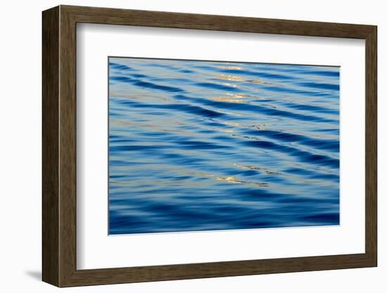 Water ripples, Chobe National Park. North-West District, Botswana.-Keren Su-Framed Photographic Print