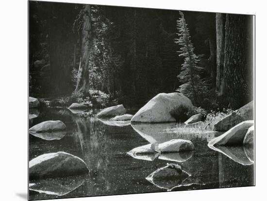 Water, Rock, Tree Reflection, High Sierra, c. 1970-Brett Weston-Mounted Premium Photographic Print