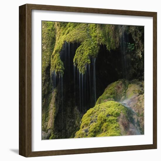 Water Running down Vegetation Covered Rocks-Micha Pawlitzki-Framed Photographic Print