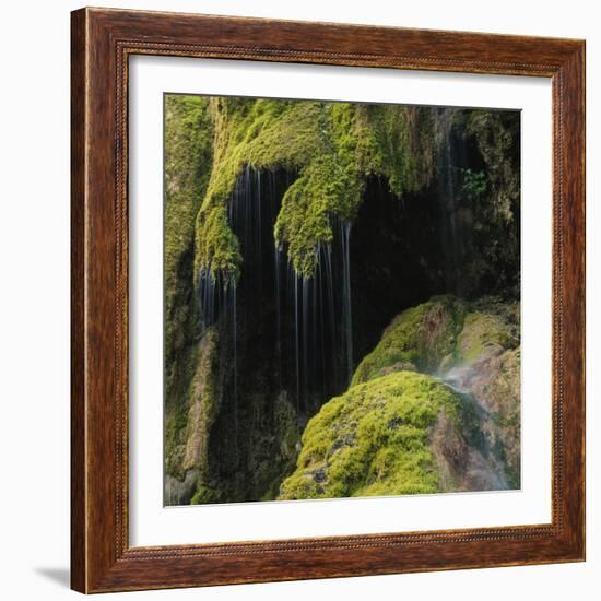 Water Running down Vegetation Covered Rocks-Micha Pawlitzki-Framed Photographic Print